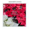 Trig's Floral and Home Designer's Choice 25 floral arranagment item for Christmas or New Year's florals.