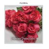 Image of the Premium Dozen Roses from Trig's Floral and Home