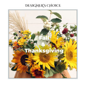 Designer's Choice 100