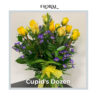 Cupid's Dozen Roses - Deluxe Size