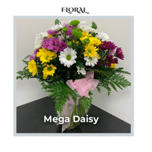 Image of the deluxe Mega Daisy arrangement by Trig's Floral and Home.