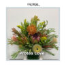 Protea Love - Deluxe Size