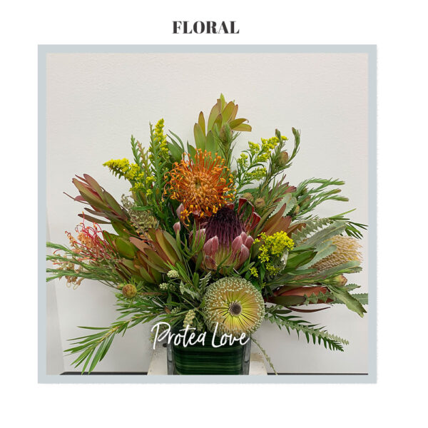 Protea Love - Deluxe Size