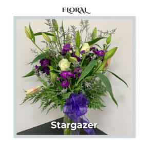Stargazer - Deluxe Size