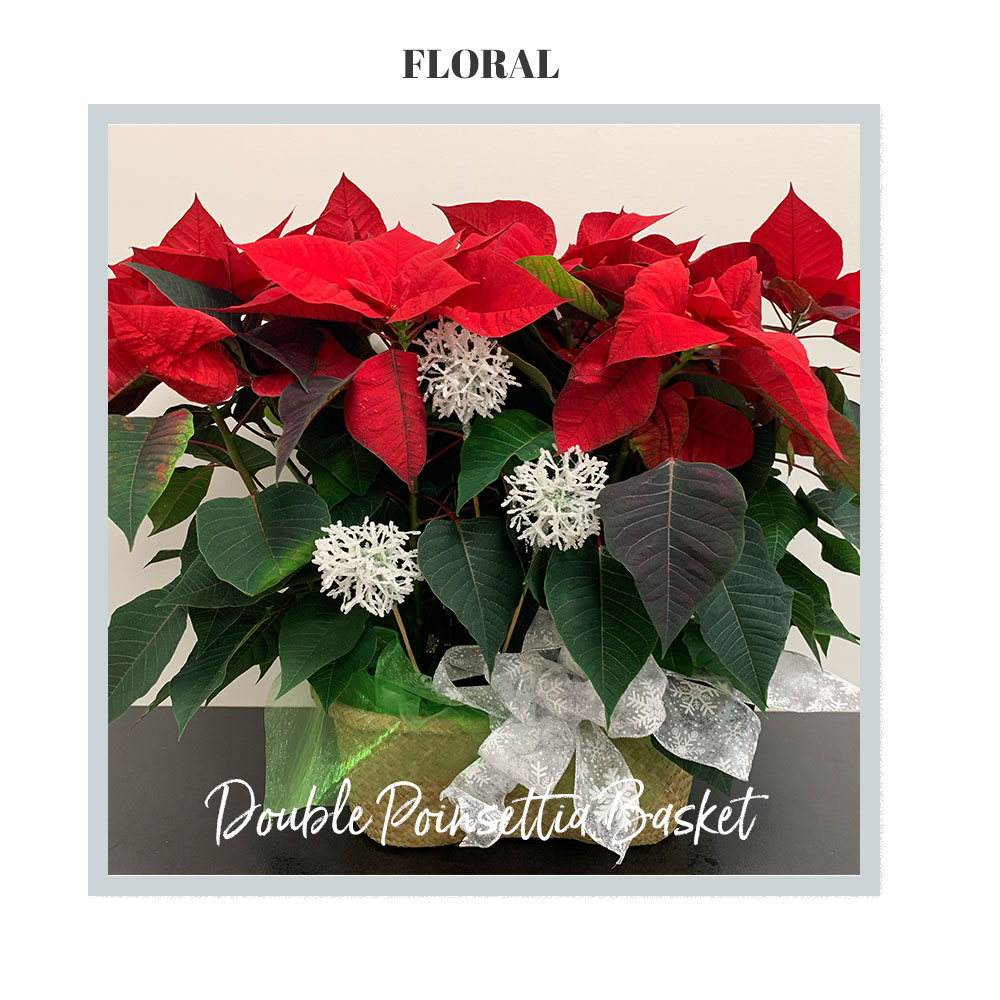Double Poinsettia basket - deluxe size by Trig's Floral and HOme