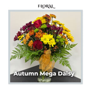 Image of the deluxe Autumn Mega Daisy arrangement from Trig's Floral and Home
