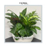 Image of the deluxe 10" Dish Garden arrangement from Trig's Floral and Home
