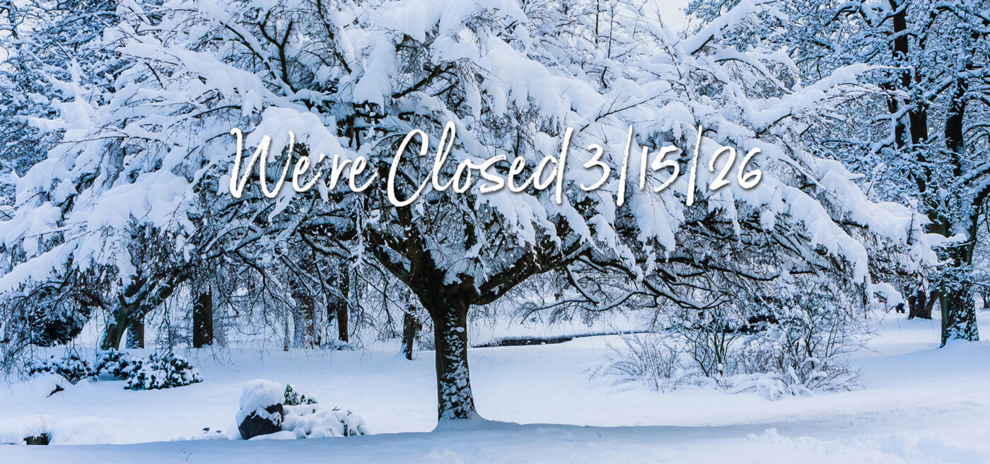 Closed 3/15/26